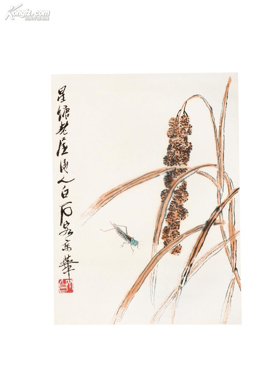 拍品详情 > 拍品大图  谷穗青蝗 滚动鼠标滚轴,图片即可轻松放大